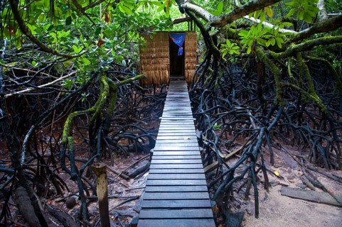 Jungle toilet on an islet