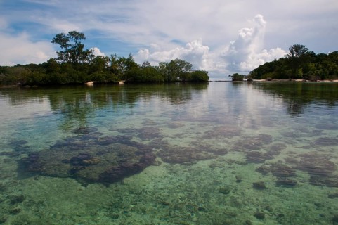 Clear waters of the Marovo Lagoon