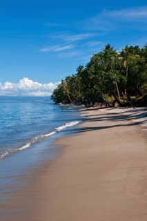 Sandy beach