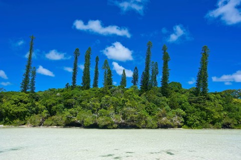 Bay de Oro
