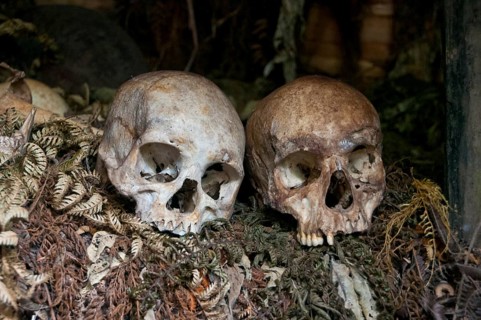 Human skulls in a tribal village