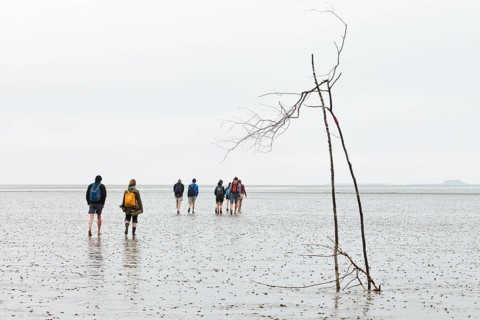 Hikers on the mudflats of the Wadden Sea en route from Pellworm island to Suederoog Hallig