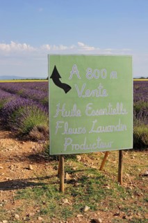 Lavender for sale sign near Puimoisson