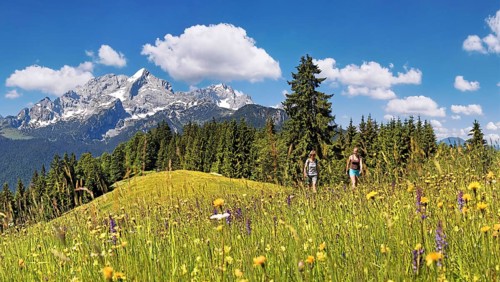 Hikers on a green meadow on Eckbauer Mountain