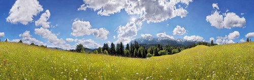 Green meadow on Eckbauer Mountain