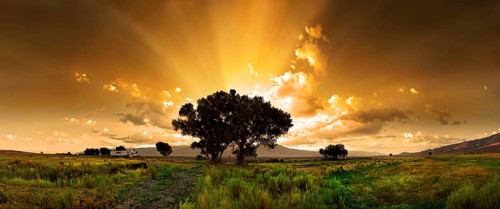 Sunrise in Owens Valley