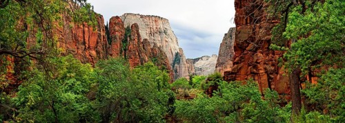 Lush green vegetation and red sandstone cliffs at the Temple of Sinawava with views of the Great White Throne