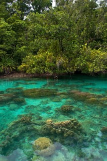 Clear waters of the Marovo Lagoon