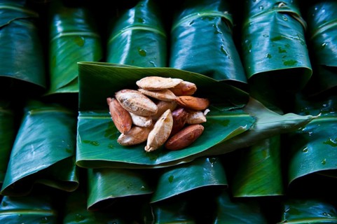 Raw Brazil Nuts (Bertholletia excelsa) for sale