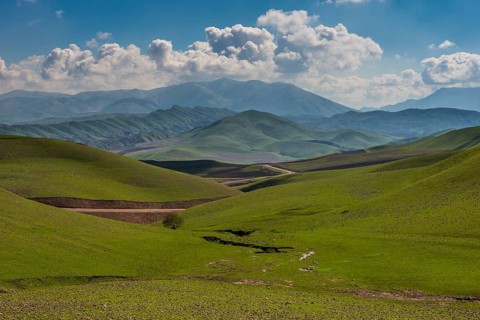 Green hilly landscape
