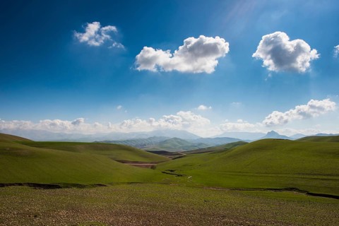 Green hilly landscape