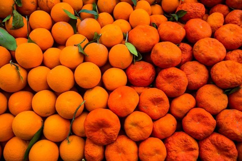 Oranges and mandarins for sale in the Bazaar of Sulaymaniyah