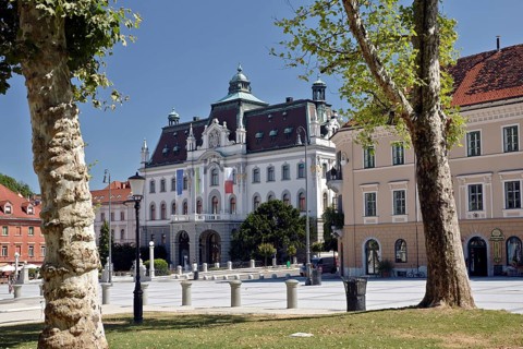University