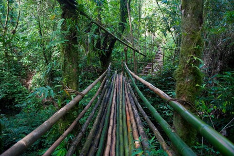 Bamboo bridge leading to the Millennium Cave