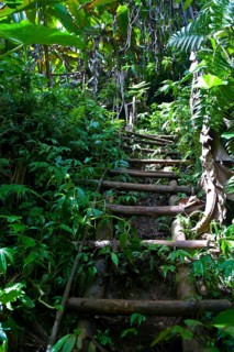 Ladder down to the Millennium Cave