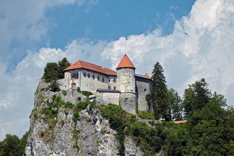 Bled Castle