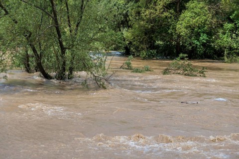 Flood of the river Neckar