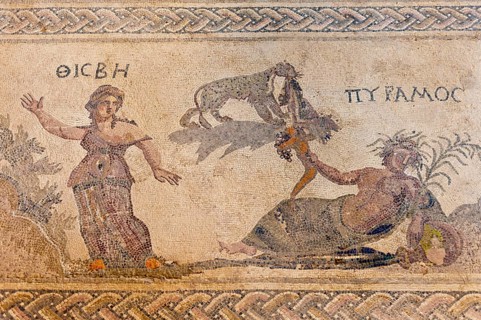 Archaeological excavation site