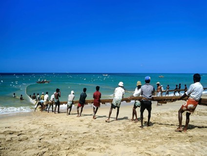 Fishermen pulling a fishing net on to the beach