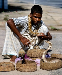 Snake charmer