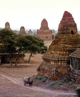 Horse-drawn carriage in a field with ruins of Buddhist pagodas and temples