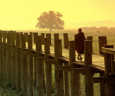 Monk on a teak bridge