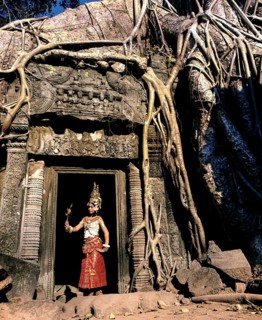 Ta Prohm temple overgrown with huge roots of Tetrameles nudiflora
