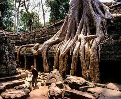 Man in the side courtyard in the interior