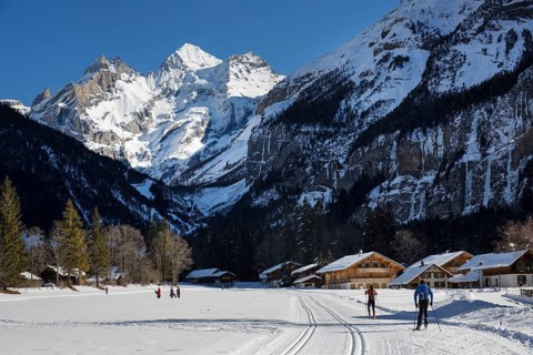 Cross-country skiers in a winter landscape