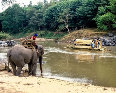 Mahout on an elephant on the Kok River