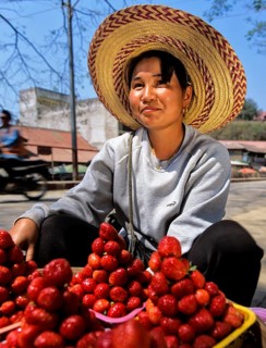 Young woman with fresh strawberries at a market