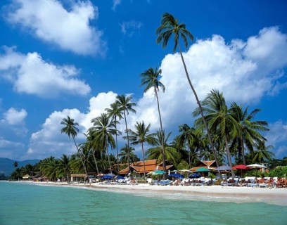Palm trees and parasols on Chaweng Beach