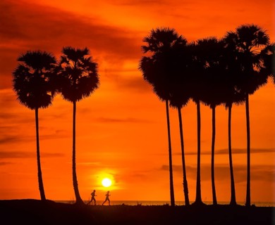 Silhouettes of two joggers and palm trees at sunset