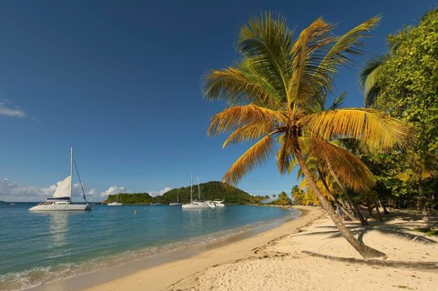 Caribbean Bay with palm trees and boats