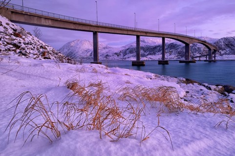 Bridge with fjord in the evening light