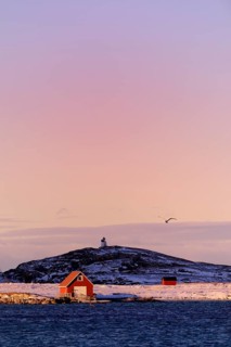 Fisherman's cottage beside a fjord with wintry mountains