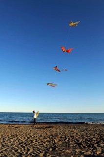 Man with many kites on the beach