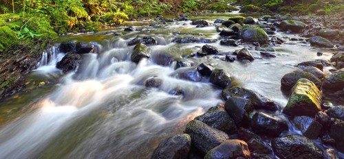 Mid-mountain stream with rocks in the stream bed
