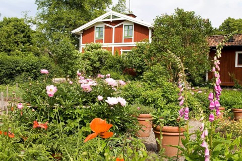 Cottage garden
