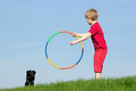Dog training