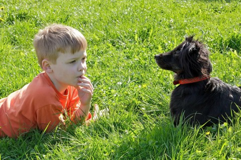 Little boy with his dog
