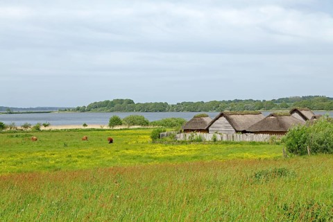 Viking houses in Hedeby Viking Museum