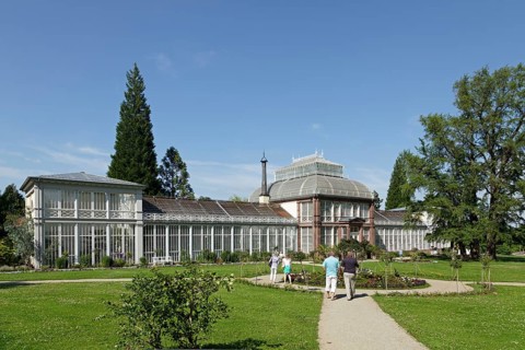 Large greenhouse
