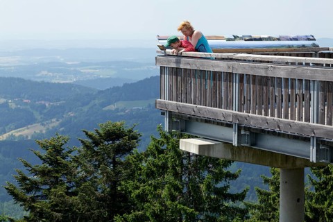 Waldwipfelweg tree top trail