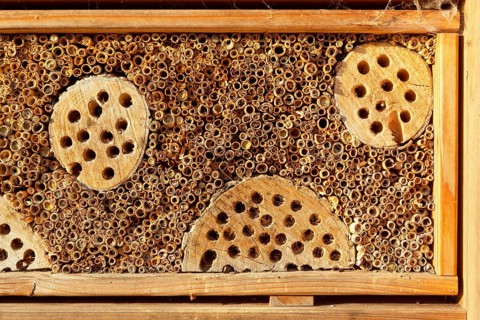 Insect hotel