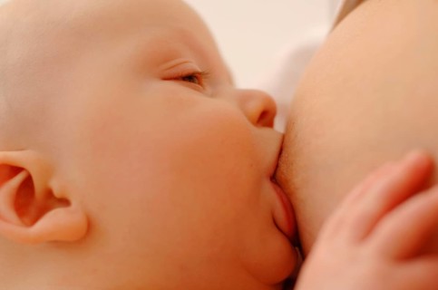 Infant sucking at the breast
