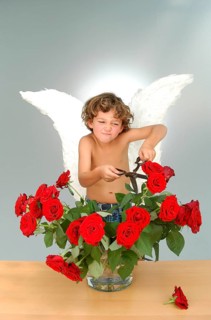 Boy with angel wings