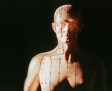 Acupuncture model
