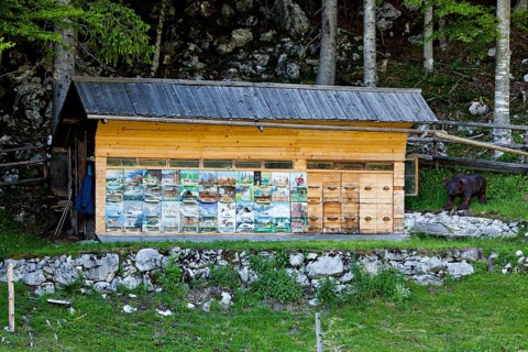 Artfully painted beehive in Triglav National Park
