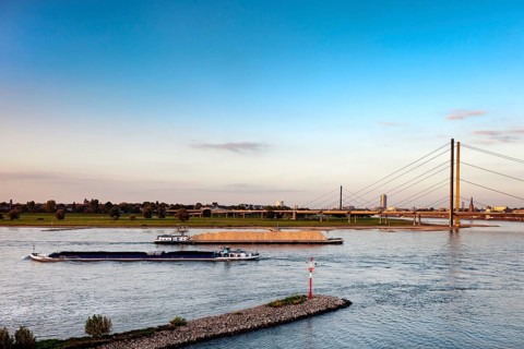 Rhine